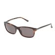 Unisex Sunglasses Lozza SL4029M564APP ø 56 mm For Discount