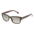 Men s Sunglasses Lozza SL4074M5209Y7 Brown Ø 52 mm Online now