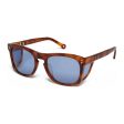 Unisex Sunglasses Hally & Son HS782S03 ø 54 mm For Sale