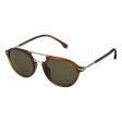 Unisex Sunglasses Lozza SL4133M510711 Ø 51 mm Supply