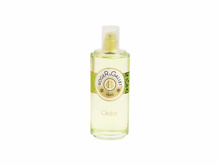 Unisex Perfume Roger & Gallet 160282 EDP EDC 100 ml Sale