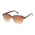 Unisex Sunglasses Hally & Son HS741S04 Ø 51 mm For Discount