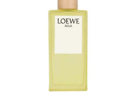 Unisex Perfume Loewe AGUA DE LOEWE ELLA EDT 100 ml For Discount